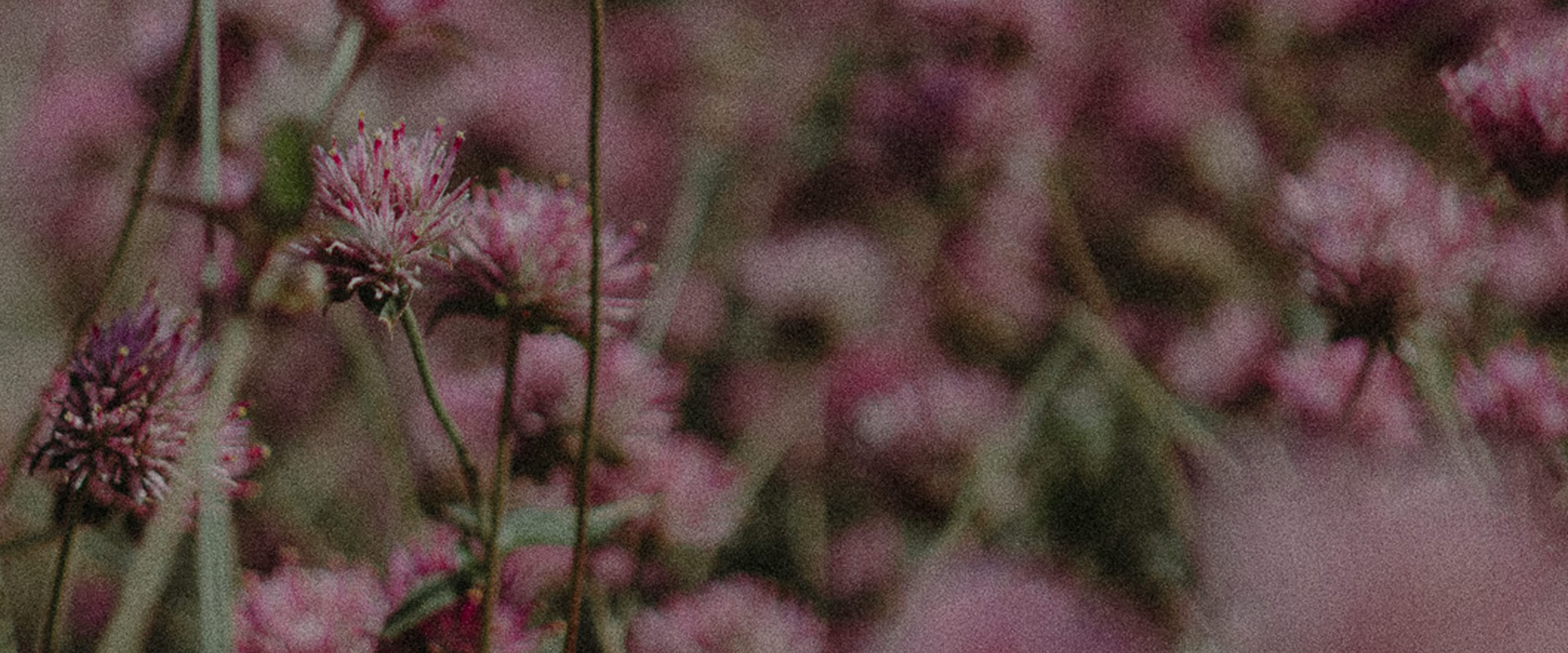 The Power of Secondhand