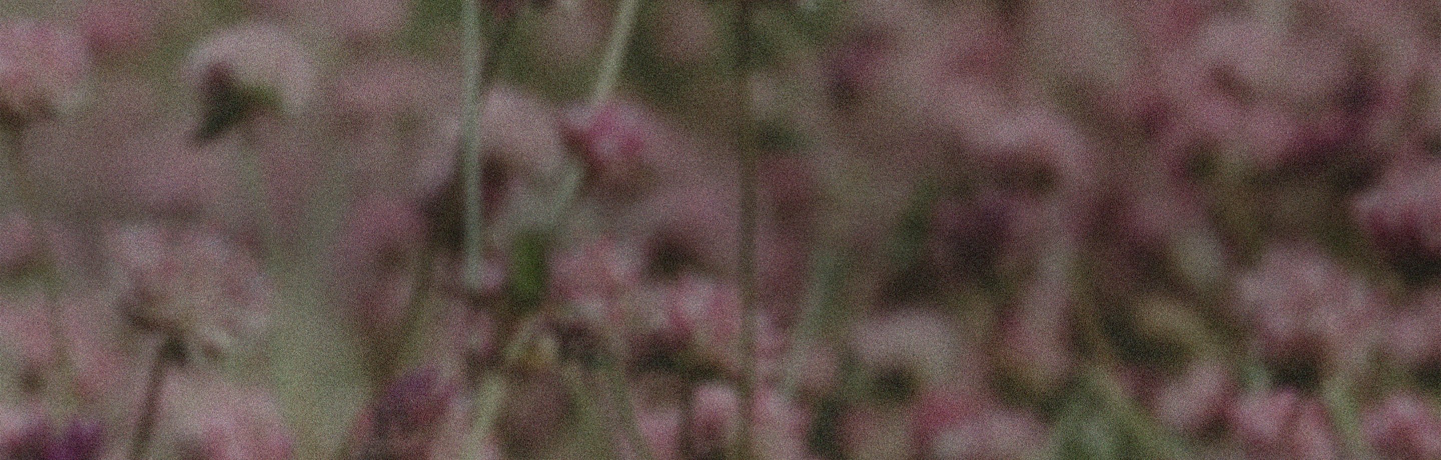 The Power of Secondhand