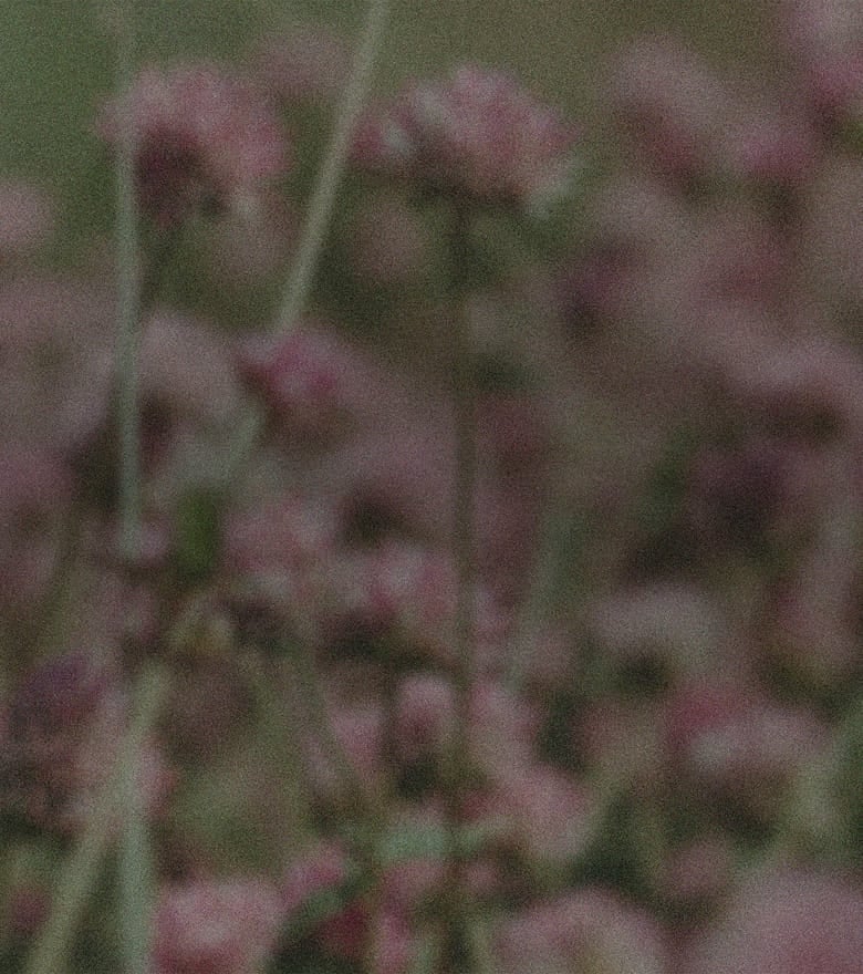 The Power of Secondhand