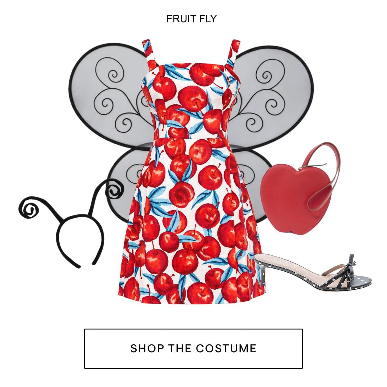 Fruit Fly inspired style